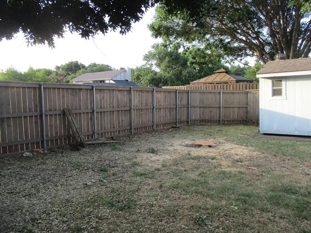 Cleared yard after professional tree removal in Maplesville
