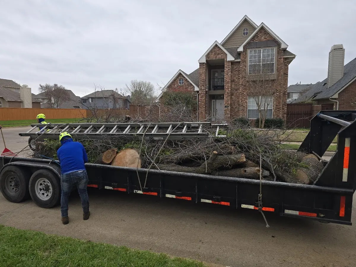 Expert Tree Removal with proper safety equipment in Maplesville